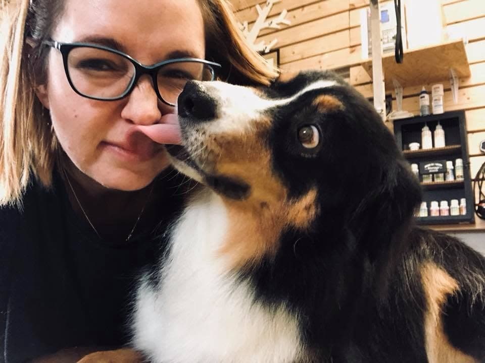 Chien brun au regard calme dans une lumière naturelle