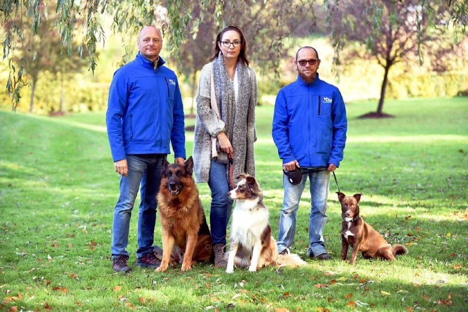 Three dogs together, a symbol of Zare-Schlass family life